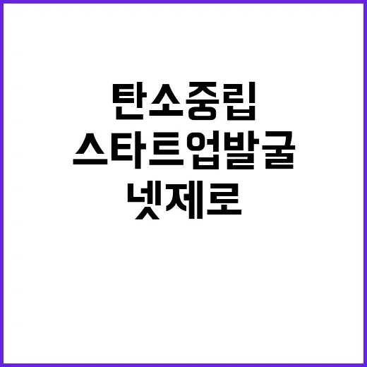 넷제로 챌린지X 탄…