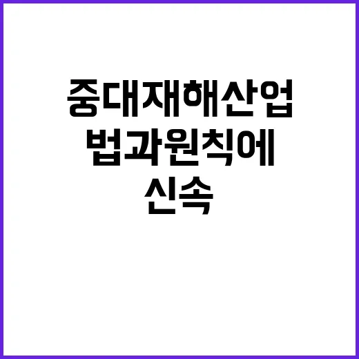 중대재해산업 신속 …