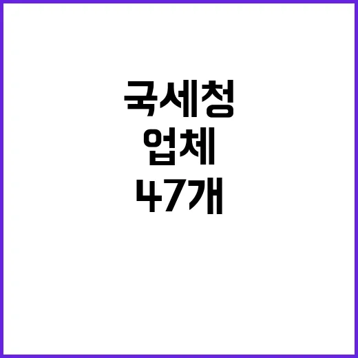 국세청 47개 업체 세무조사 진짜 이유!