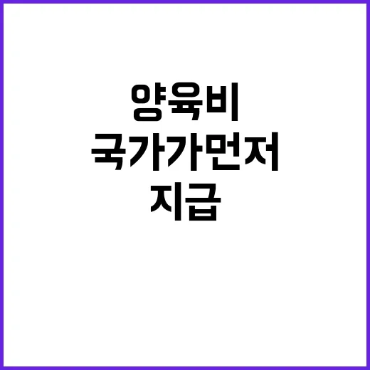 양육비 지급 국가가 먼저 나선다! 내년 7월!