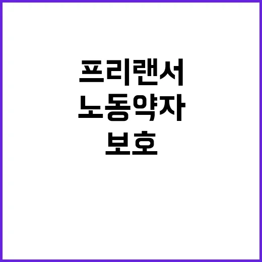 노동약자 보호법 프…