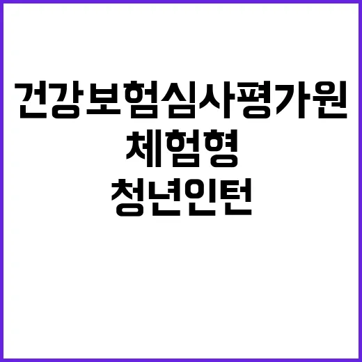 건강보험심사평가원 …