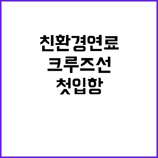 친환경연료 크루즈선…