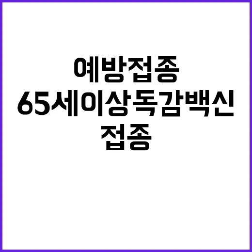 예방접종 65세 이상 독감 백신 동시 접종!