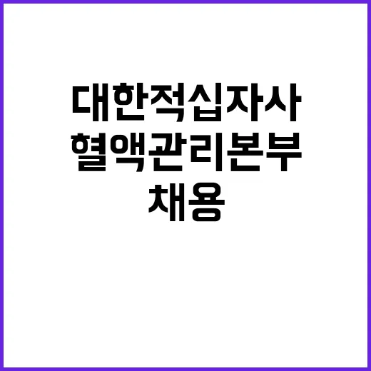 대한적십자사 비정규…