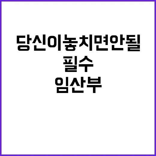 임산부 필수 아이템…