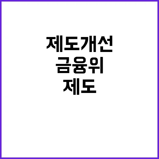 금융위 제도 개선 사항 미확정 사실 공개!