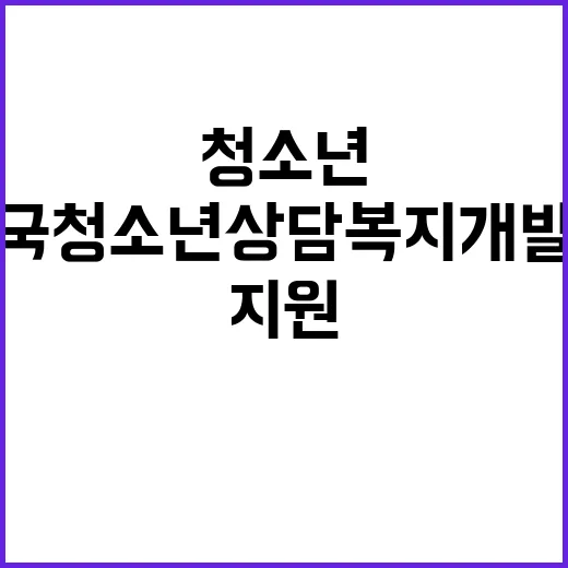 한국청소년상담복지개…