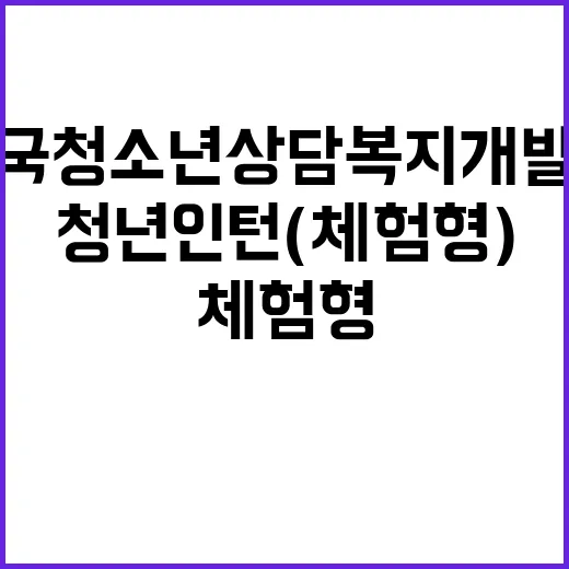 2025년 한국청소년상담복지개발원 상반기 청년인턴(체험형) 모집(제2024-2호)