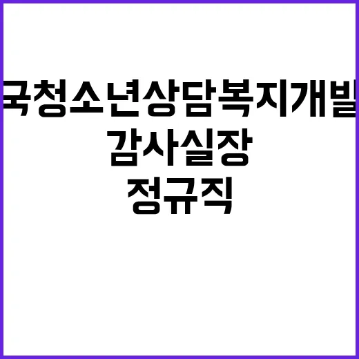 한국청소년상담복지개발원 개방형직위(감사실장) 모집(채용공고 제2024-6호)