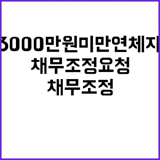 채무조정 요청 30…