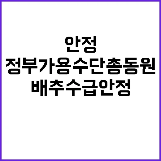 배추 수급안정 정부 가용수단 총동원 발언!