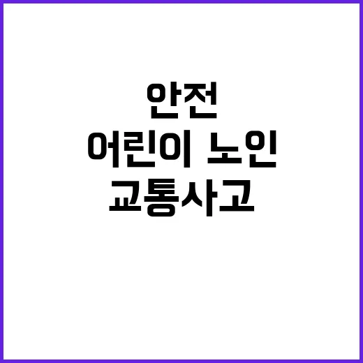 교통사고 어린이·노인 안전 위한 점검 실시!