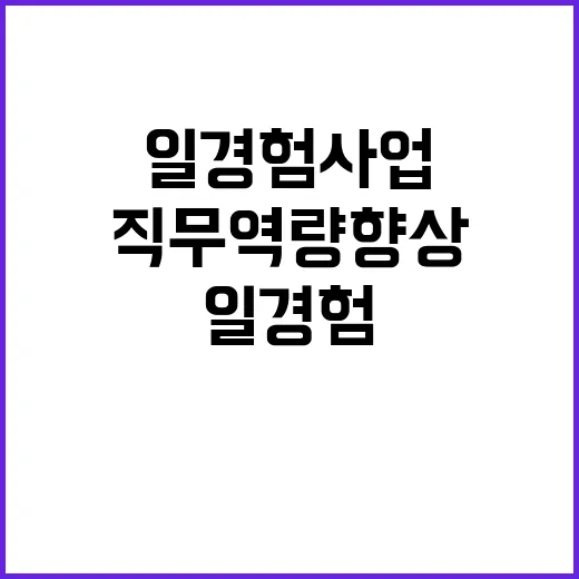 고용부 일경험 사업 직무역량 향상 담보한다!