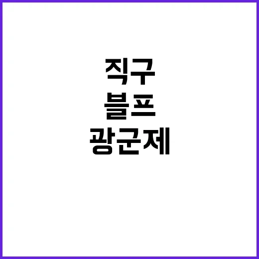 직구 악용 단속 광군제 블프 5주간 진행!