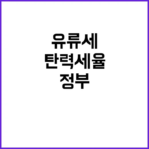 유류세 정부의 탄력세율 결정 미공개 사실!