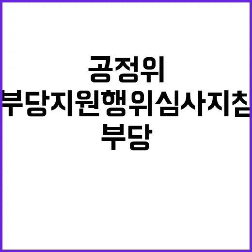 공정위 부당 지원행위 심사지침 미확정 사실 공개!