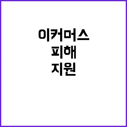 이커머스 지원한도 증가 피해업체에 희소식!