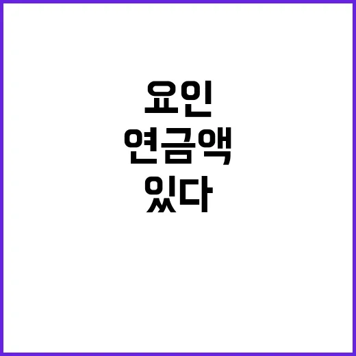 미래 연금액 요인으로 다양하게 달라질 수 있다!