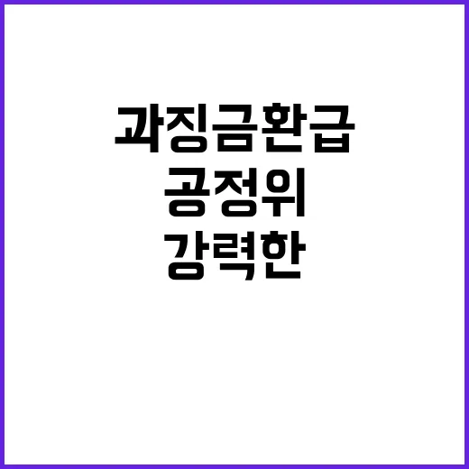 공정위 과징금 환급…