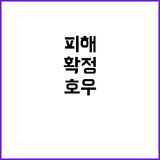 호우 피해 복구비 1137억 원 확정된 이유!