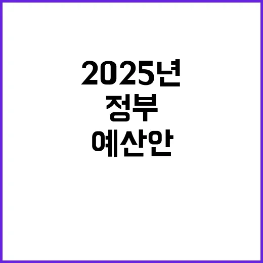 2025년 예산안 정부의 숨겨진 비밀 공개!