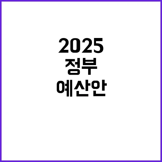 2025 예산안 정부의 미래 전략 공개!