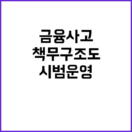 “책무구조도 시범운…