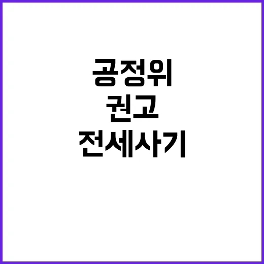 전세사기 보증 취소 가능성! 공정위 권고 내용 공개