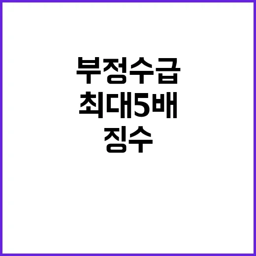 부정수급 최대 5배 징수 조치 발표!