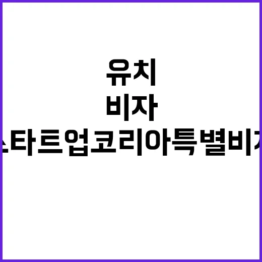 스타트업 코리아 특별비자 해외 스타트업 유치 비밀。