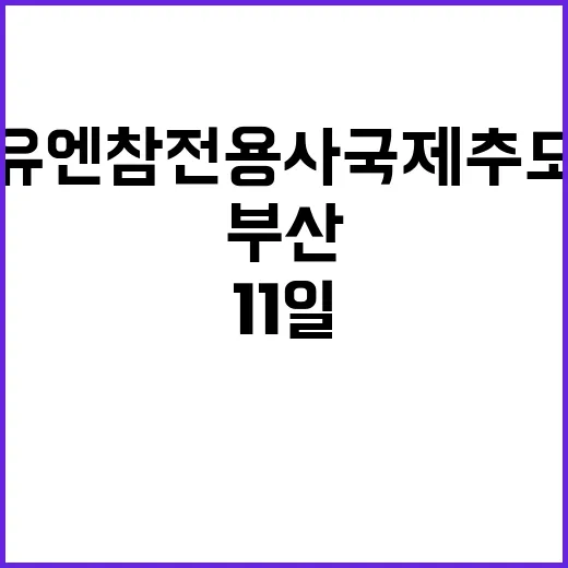 부산 유엔참전용사 국제추모 기념식 11일 개최!