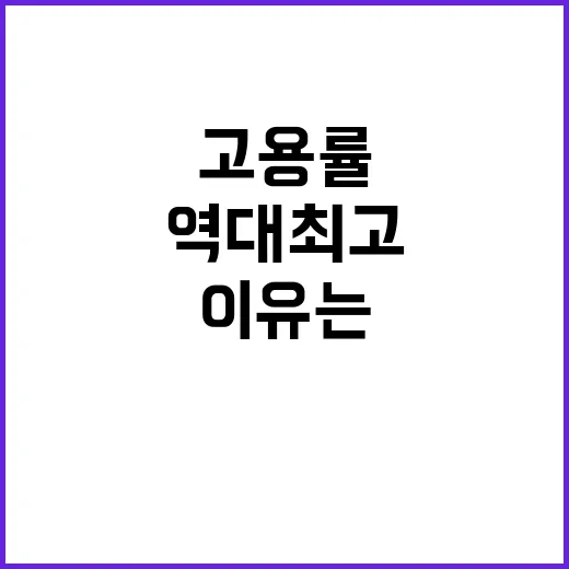 역대 최고 고용률과 경활률 이유는 무엇?