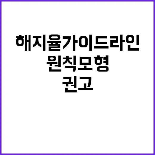 금융위 해지율 가이드라인 원칙모형 권고 사실은?