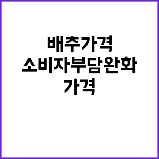 배추가격 하락 소비자 부담 완화를 위한 노력!