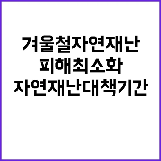 겨울철 자연재난 대…