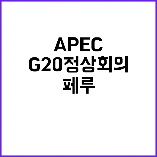 페루 방문 APEC과 G20 정상회의의 비밀 공개!