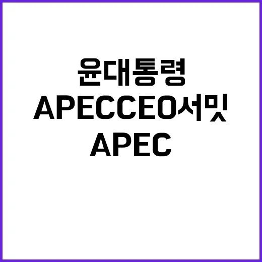 APEC CEO 서밋 윤 대통령의 혁신 비전 공개!