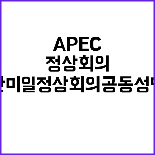 한미일 정상회의 공동성명 APEC에서의 새로운 동맹!