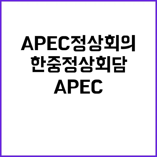 한중 정상회담 APEC 정상회의의 새로운 전환점!