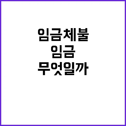 임금체불 예방 고용…