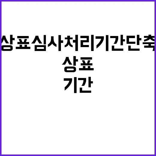 상표심사 처리기간 단축 약속! 믿어도 될까?