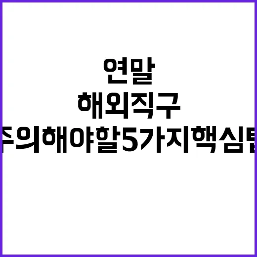 “연말 해외직구 주의해야 할 5가지 핵심 팁!”