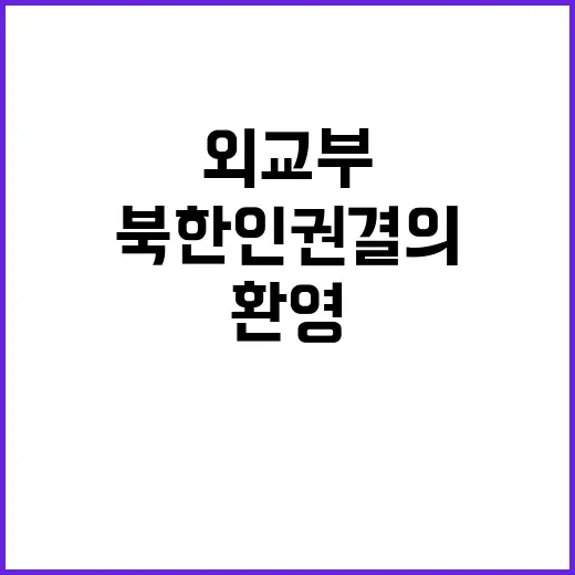 북한 인권 결의 외교부 환영 논평 발표!