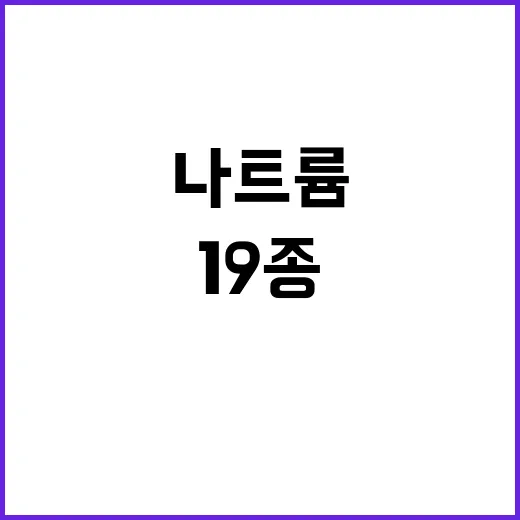 나트륨 감소! 혁신적 카스텔라 등 19종 공개