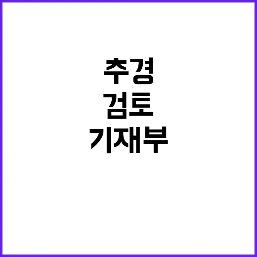 추경예산 기재부 검토 없다는 사실 공개!