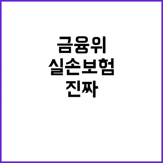 실손보험 개혁안 금…