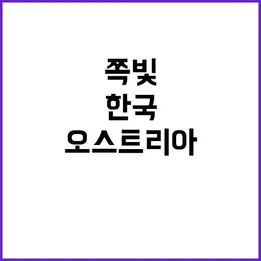 ‘쪽빛’ 염색의 비…