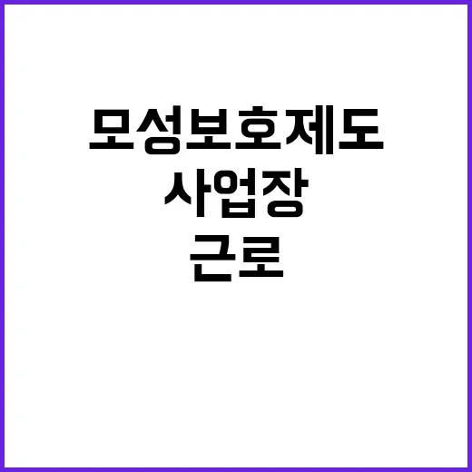 모성보호 제도 사업장 근로감독으로 안전 강화!