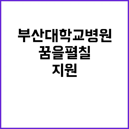 부산대학교병원 비정…